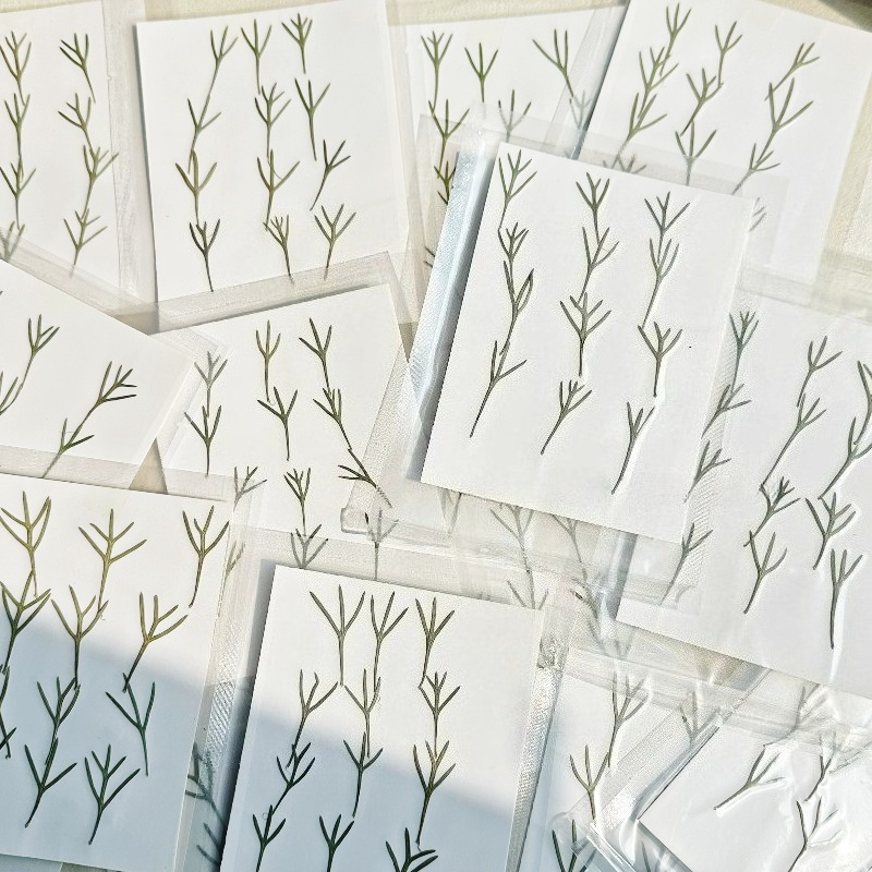 24pcs,Real Pressed Achillea Le - Resin Art Mold review and price